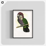 1-21_Parrots-in-Captivity_blk-crop