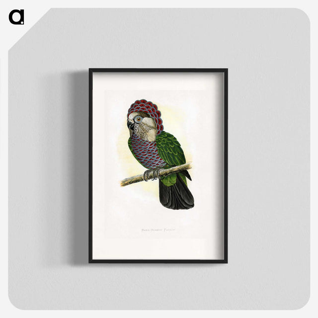 1-21_Parrots-in-Captivity_blk