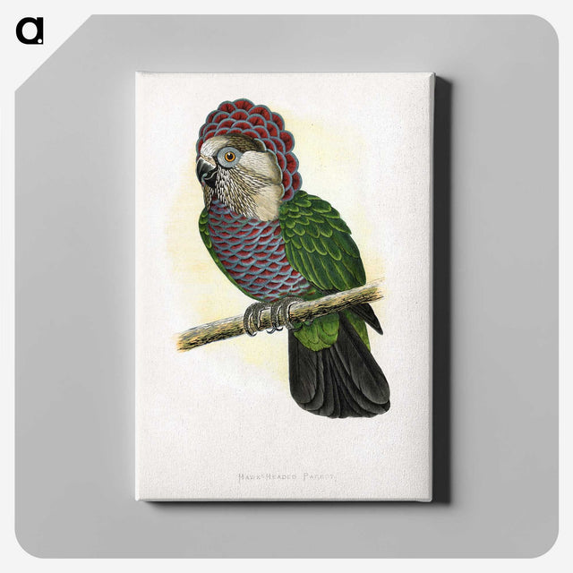 1-21_Parrots-in-Captivity_canvas