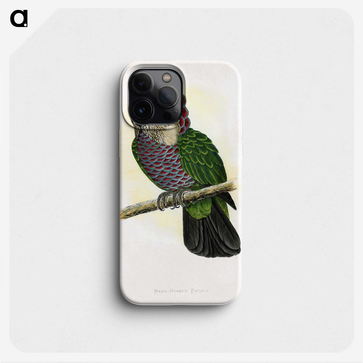 1-21_Parrots-in-Captivity_phone