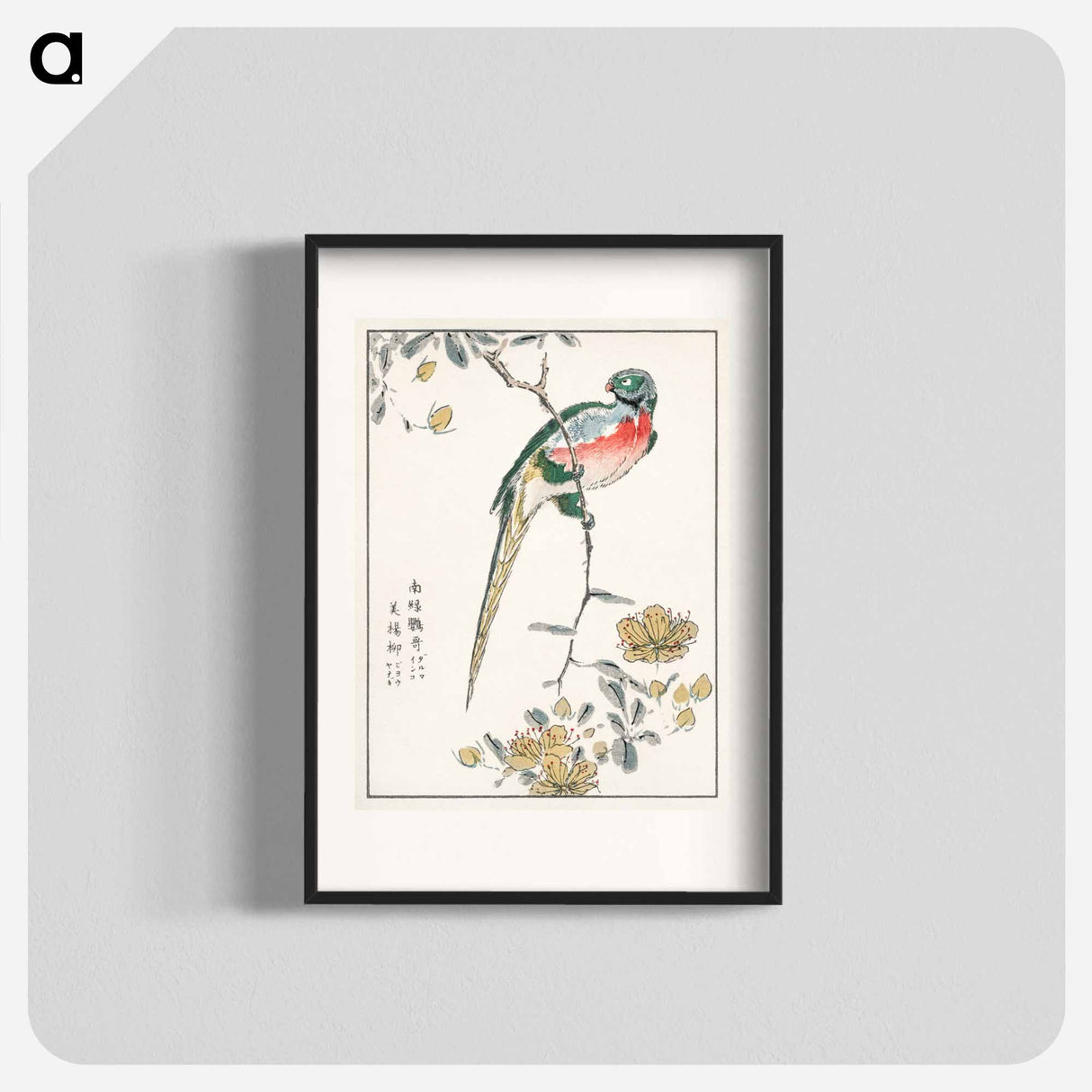 アートポスター-Macaw and Drooping Peach
 - 鳥類図鑑 Poster.