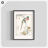 アートポスター-Macaw and Drooping Peach
 - 鳥類図鑑 Poster.