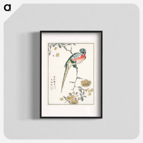 アートポスター-Macaw and Drooping Peach
 - 鳥類図鑑 Poster.