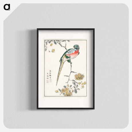 アートポスター-Macaw and Drooping Peach
 - 鳥類図鑑 Poster.