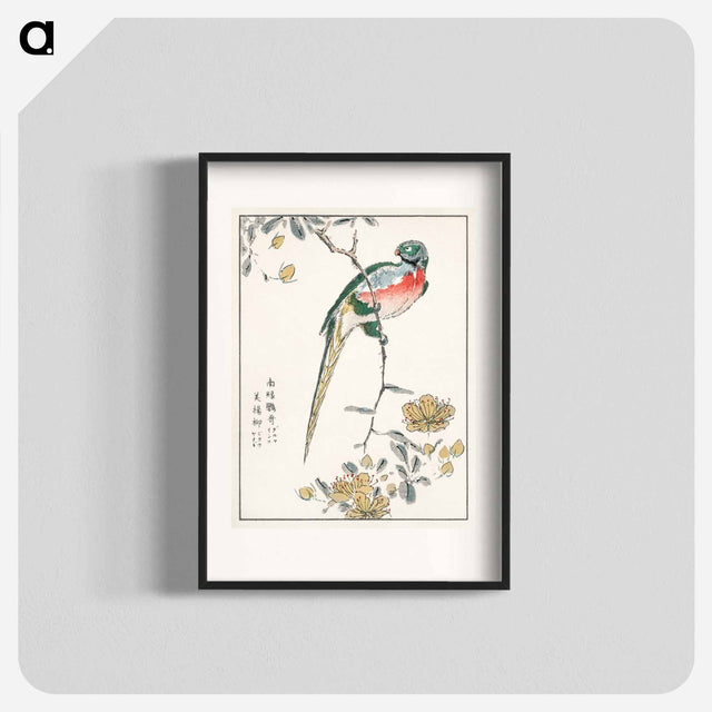 アートポスター-Macaw and Drooping Peach
 - 鳥類図鑑 Poster.