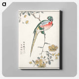 アートパネル-Macaw and Drooping Peach
 - 鳥類図鑑 Canvas.