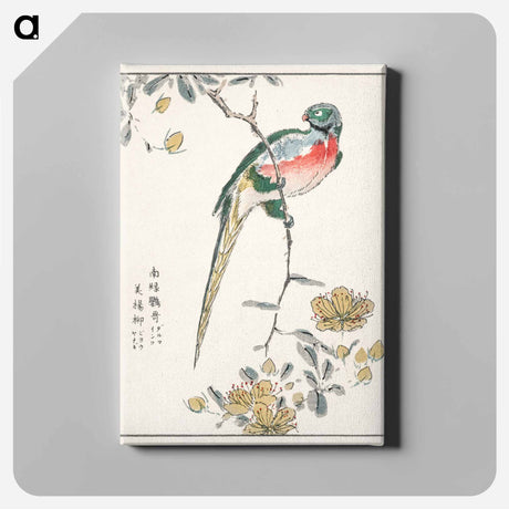 アートパネル-Macaw and Drooping Peach
 - 鳥類図鑑 Canvas.