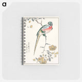 アートメモ帳-Macaw and Drooping Peach
 - 鳥類図鑑 Memo.