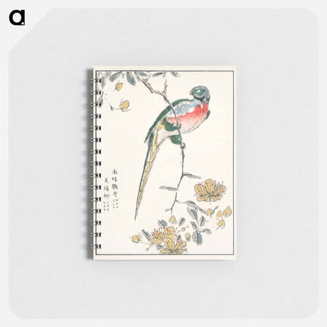 アートメモ帳-Macaw and Drooping Peach
 - 鳥類図鑑 Memo.