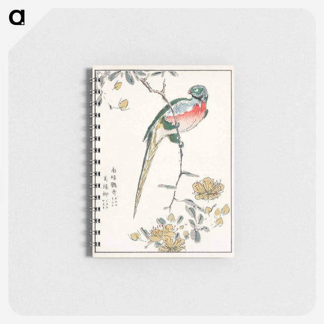 アートメモ帳-Macaw and Drooping Peach
 - 鳥類図鑑 Memo.