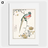 アートポスター-Macaw and Drooping Peach
 - 鳥類図鑑 Poster.