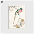 アートポストカード-Macaw and Drooping Peach
 - 鳥類図鑑 Postcard.