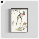 1-21_Pictorial-Monograph-of-Birds_blk-crop
