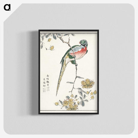 1-21_Pictorial-Monograph-of-Birds_blk-crop
