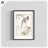 1-21_Pictorial-Monograph-of-Birds_blk