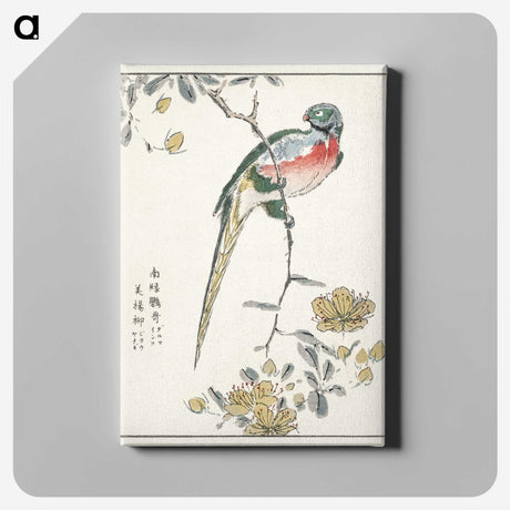 1-21_Pictorial-Monograph-of-Birds_canvas