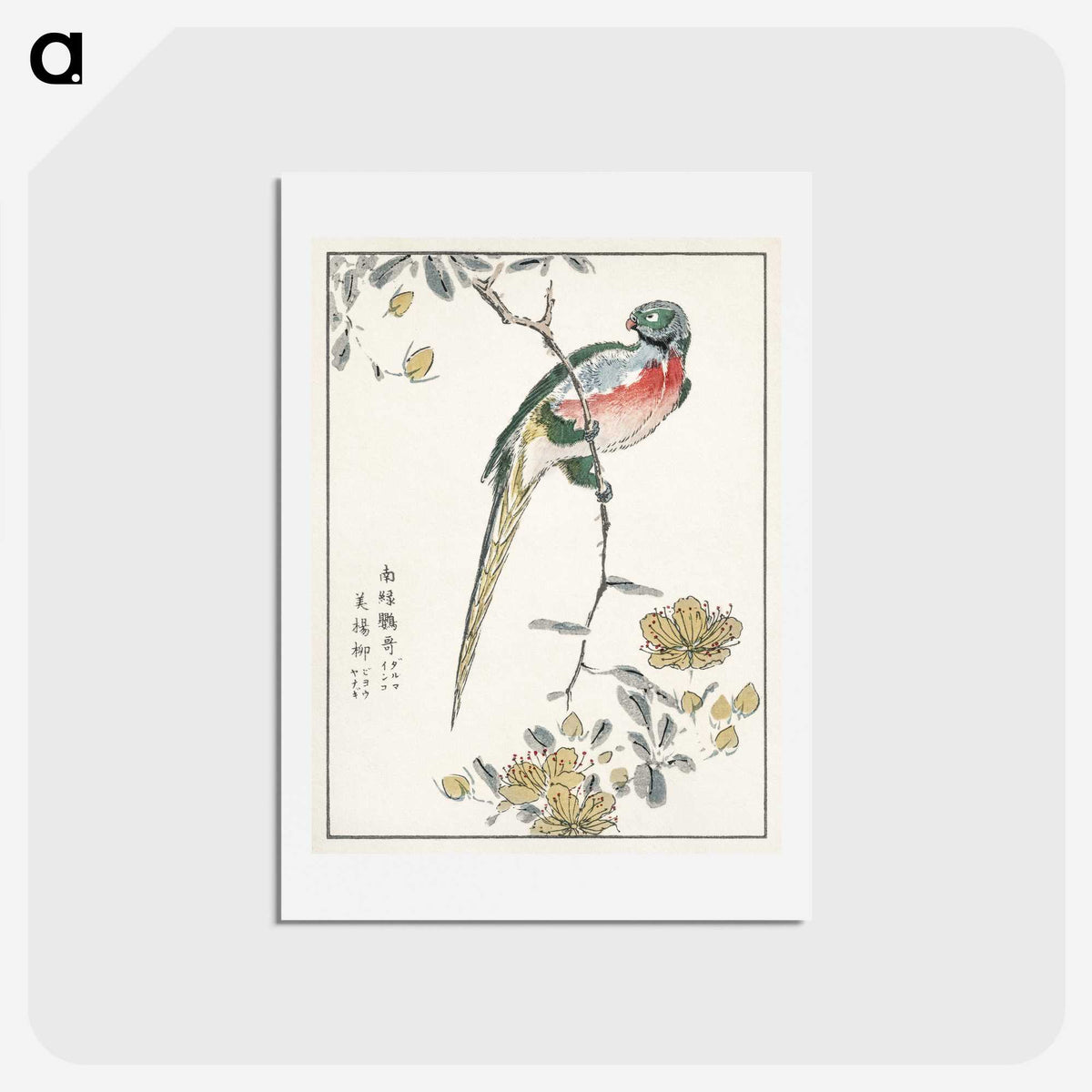 1-21_Pictorial-Monograph-of-Birds_hagaki