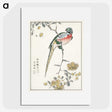 1-21_Pictorial-Monograph-of-Birds_picture