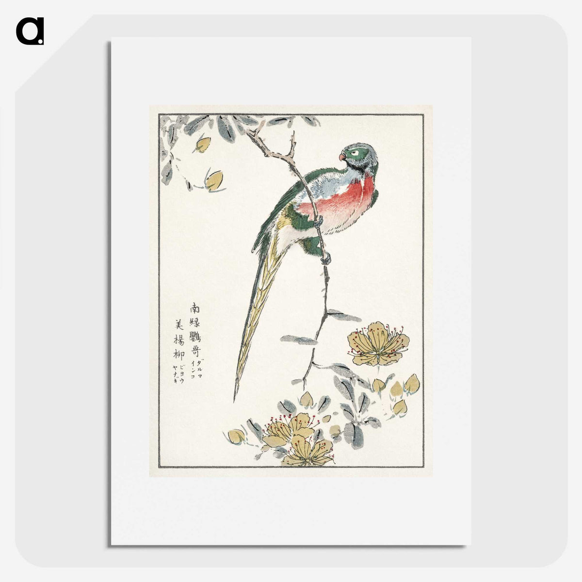 1-21_Pictorial-Monograph-of-Birds_picture