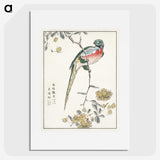 1-21_Pictorial-Monograph-of-Birds_picture