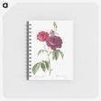 1-21_Pierre-Joseph-Redoute_memo