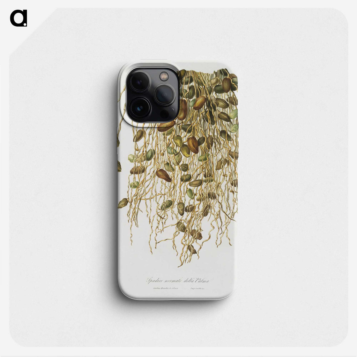1-21_Pomona-Italiana_phone