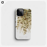 1-21_Pomona-Italiana_phone