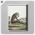 1-21_Robert-Jacob-Gordon_canvas