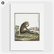 1-21_Robert-Jacob-Gordon_picture
