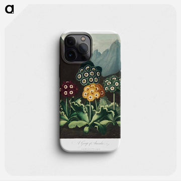 Auriculas from The Temple of Flora
 - ロバート ジョン ソーントン Phone Case.