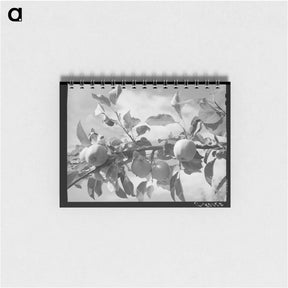 アートメモ帳-Sugarcane Unloading
 - ラッセル リー Memo.