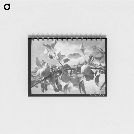 アートメモ帳-Sugarcane Unloading
 - ラッセル リー Memo.