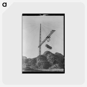 アートポストカード-Sugarcane Unloading
 - ラッセル リー Postcard.