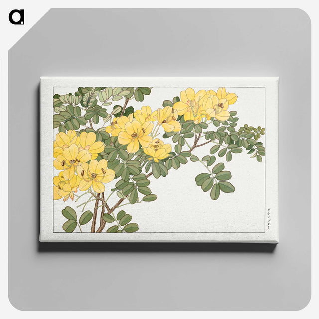 1-21_Seiyo-Soka-Zufu_canvas
