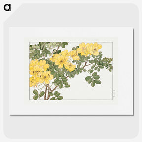 1-21_Seiyo-Soka-Zufu_picture