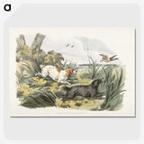 1-21_Sporting-Sketches_picture-crop