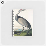 アートメモ帳-Hooping Crane from Birds of America
 - アメリカの鳥たち Memo.