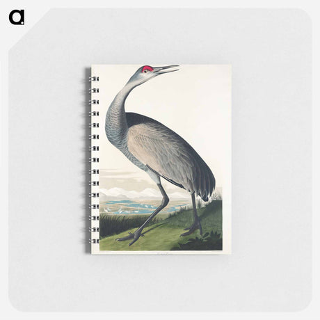 アートメモ帳-Hooping Crane from Birds of America
 - アメリカの鳥たち Memo.