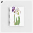 アートメモ帳-Iris Madonna from The genus Iris
 - アヤメ属 Memo.