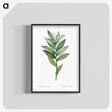 1-21_The-Lilies_blk-crop