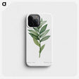 1-21_The-Lilies_phone