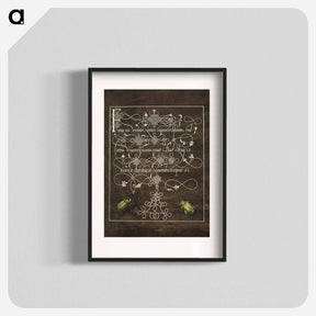アートポスター-Ground Beetle and Scarab from Mira Calligraphiae Monumenta
 - 書道のお手本 Poster.