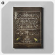 アートパネル-Ground Beetle and Scarab from Mira Calligraphiae Monumenta
 - 書道のお手本 Canvas.