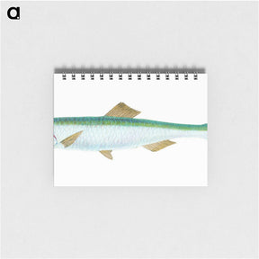 1-21_The-Natural-History-of-British-Fishes_memo