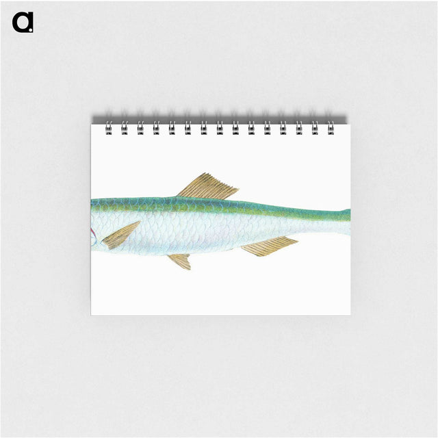 1-21_The-Natural-History-of-British-Fishes_memo
