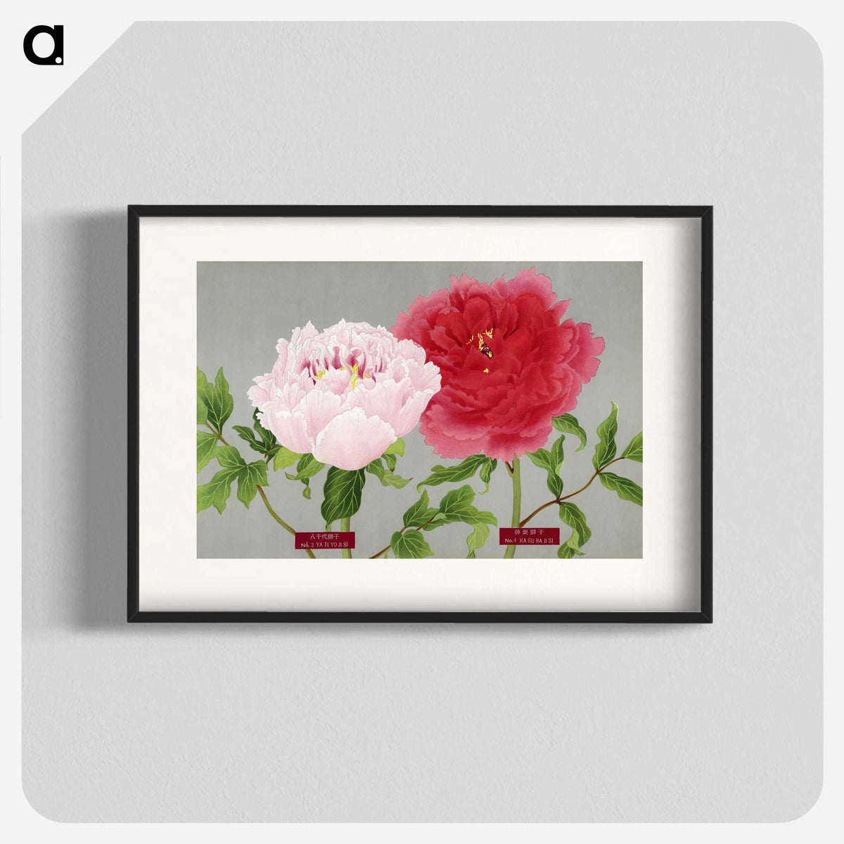 1-21_The-Picture-Book-of-Peonies_blk