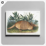 1-21_The-Viviparous-Quadrupeds_canvas