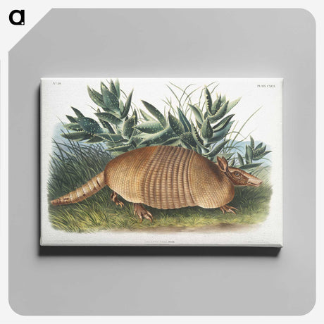 1-21_The-Viviparous-Quadrupeds_canvas