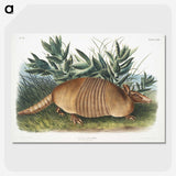 1-21_The-Viviparous-Quadrupeds_picture-crop