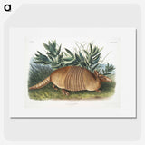 1-21_The-Viviparous-Quadrupeds_picture